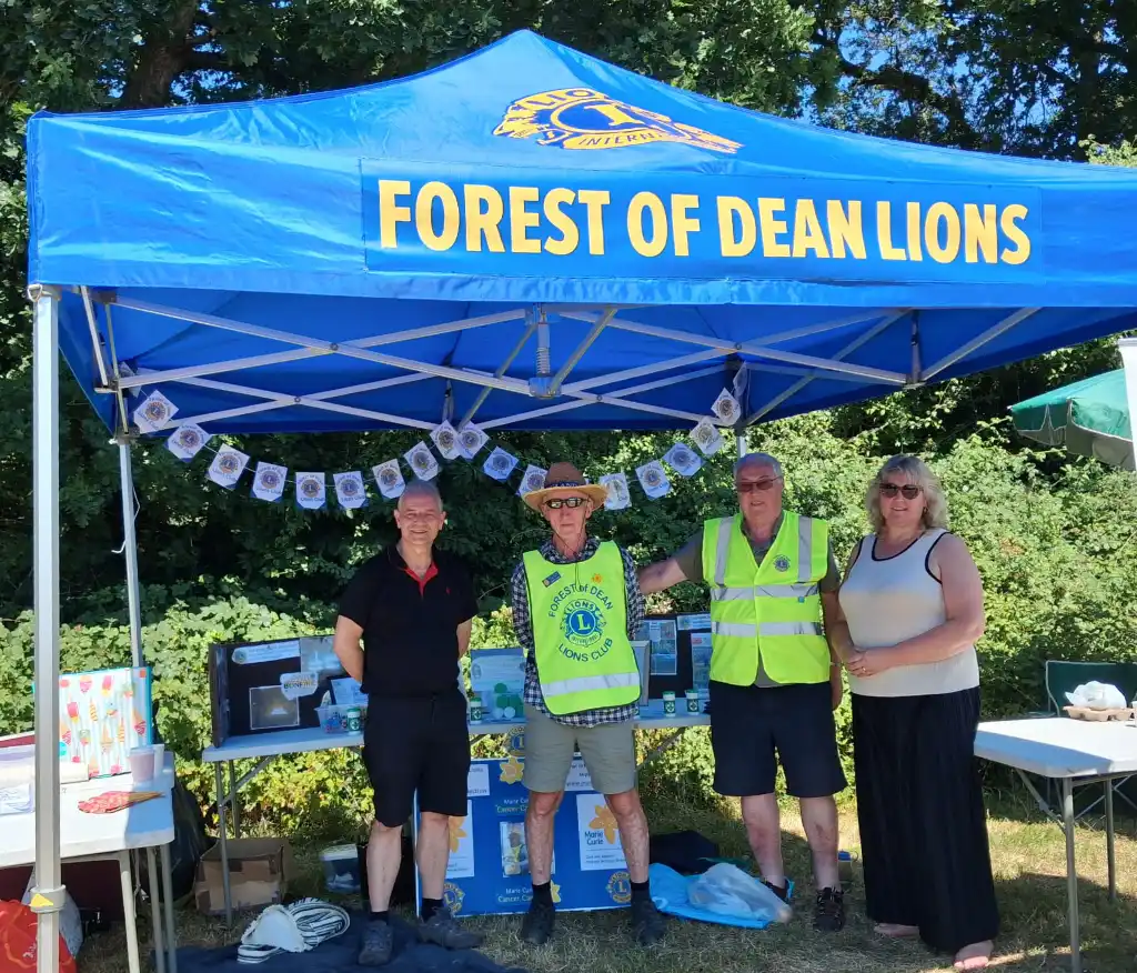 A photo of some of the Forest of Dean Lions at Lydney Harbour